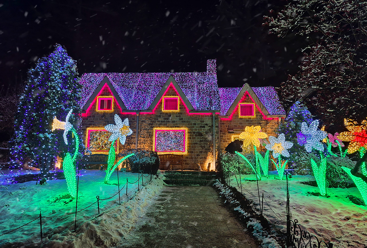 夜晚的晨靜樹木園，搖身一變成為如夢似幻的魔幻仙境！