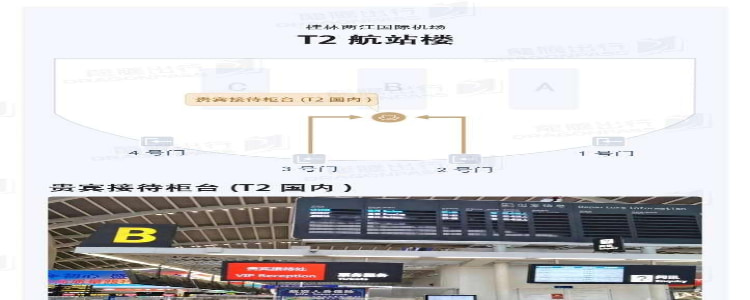 VIP Reception Counter (T2 Domestic Departure)