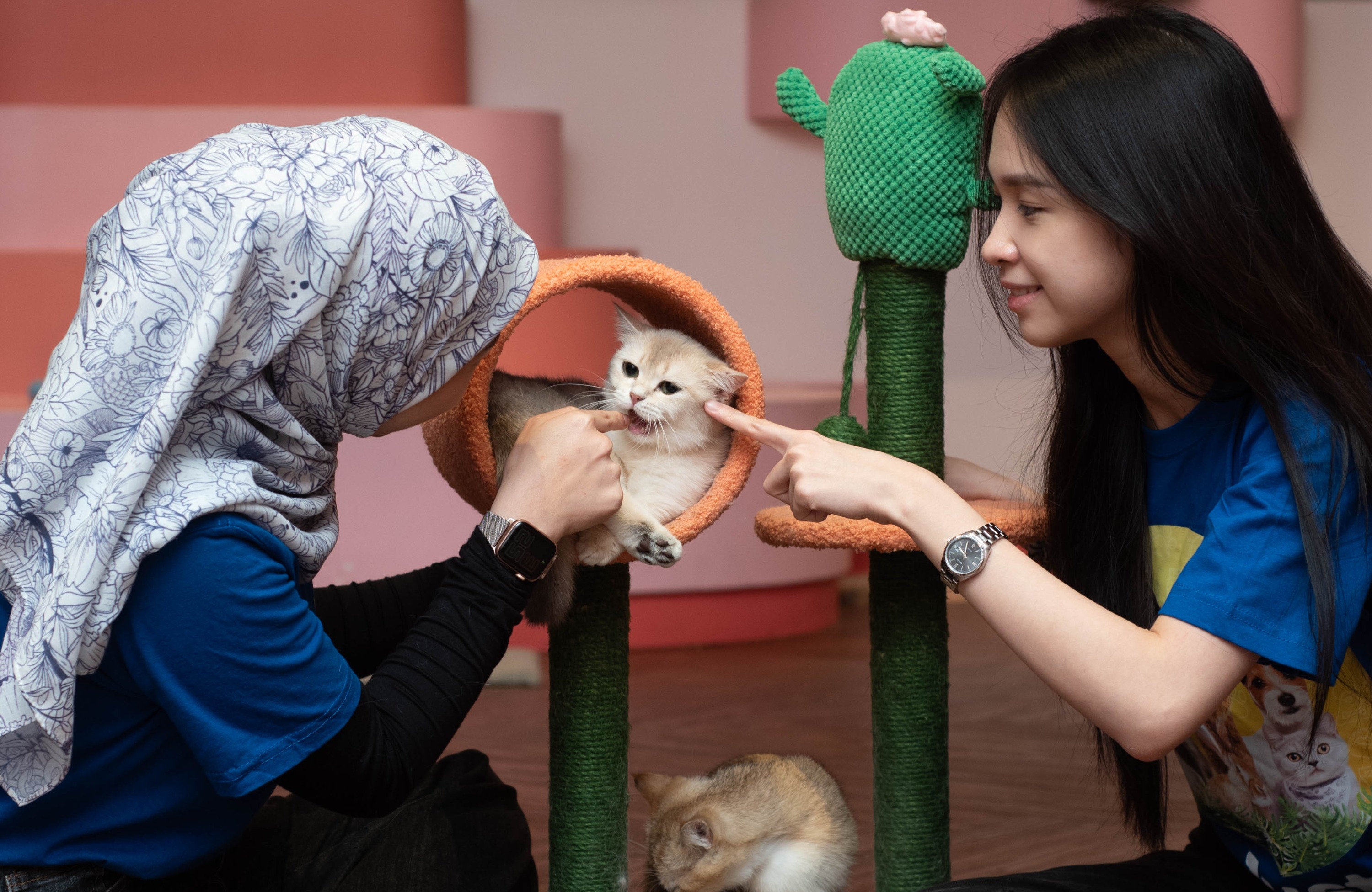 Just Farm by Just Pets 大型商店門票