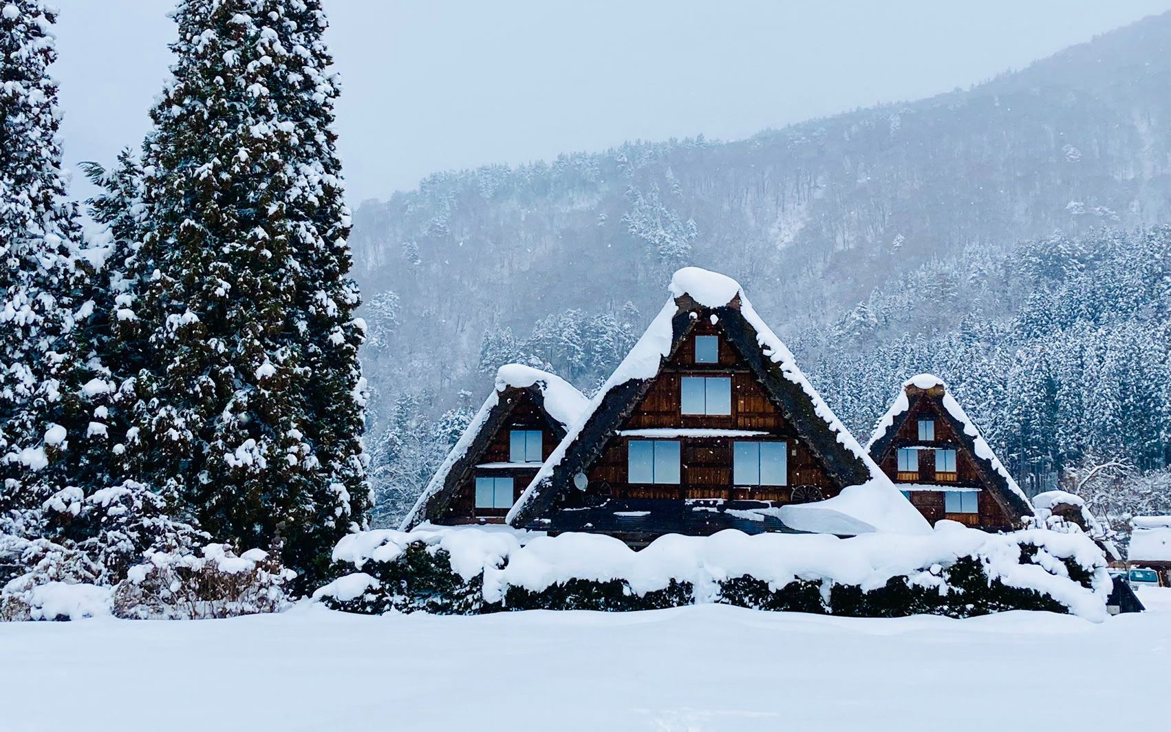Takayama and Shirakawa-go Day Tour from Nagoya