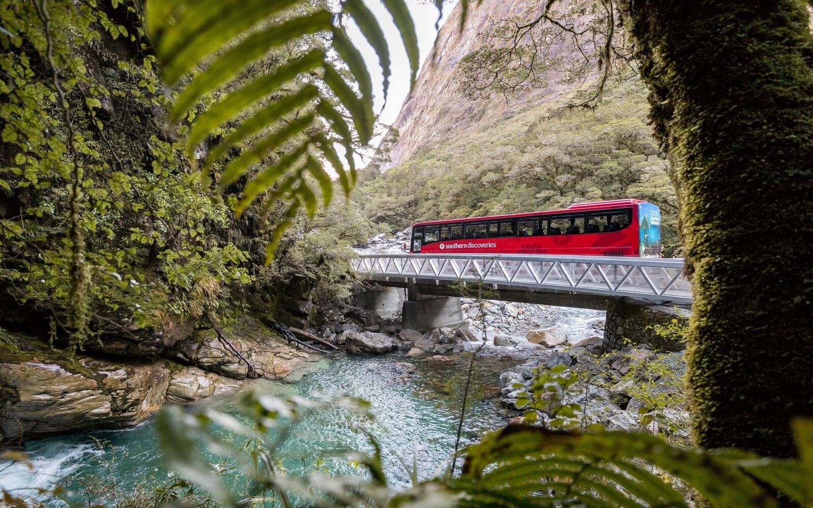 Chinese New Year Special - Milford Sound Coach & Cruise Queenstown