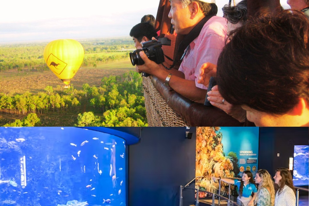 凱恩斯 (Cairns) 熱氣球飛行 + 免費進入凱恩斯水族館 (Cairns Aquarium)