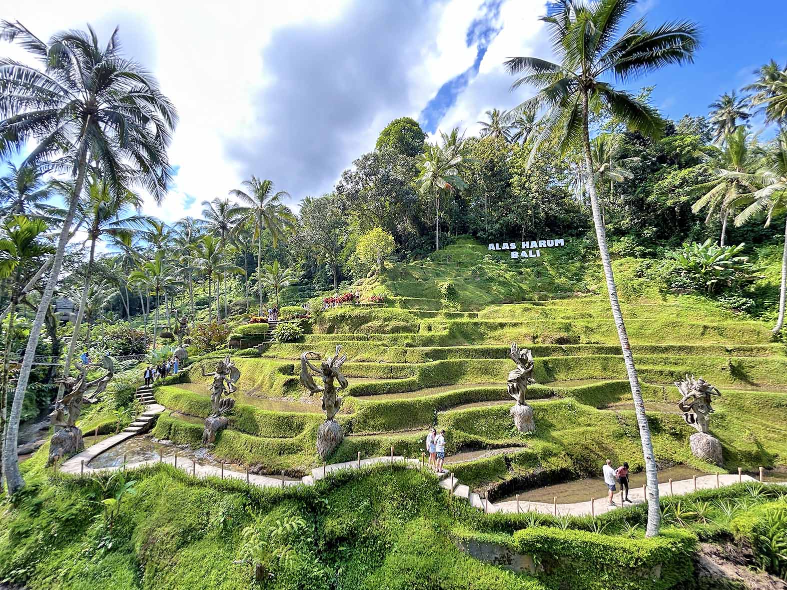 與您的私人導遊一起探索德格拉朗梯田 與您的私人導遊一起探索德格拉朗梯田