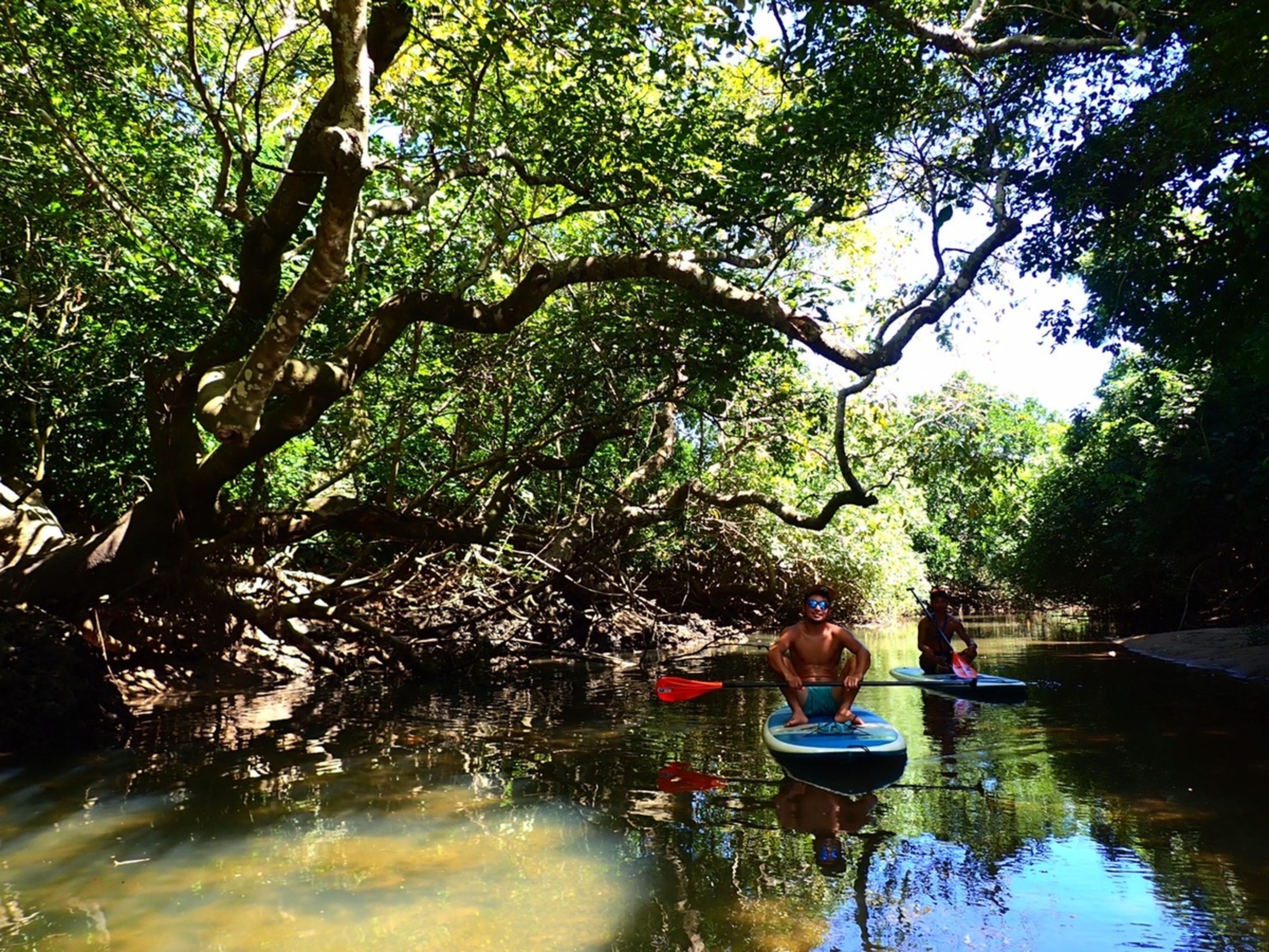 [3 piece ishigaki] Mangrove SUP & Blue Cave Snorkeling Adventure