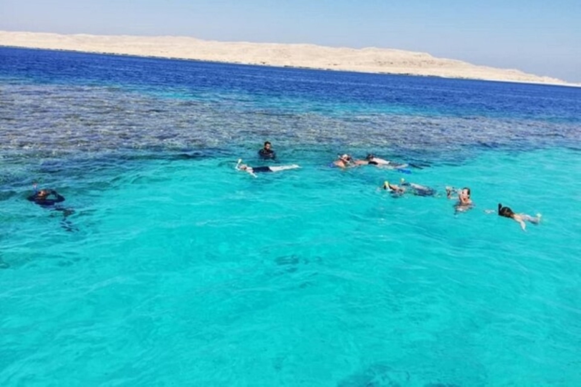 蒂朗島浮潛之旅(含午餐和接送) - 埃及沙姆沙伊赫 蒂朗島浮潛之旅(含午餐和接送) - 埃及沙姆沙伊赫