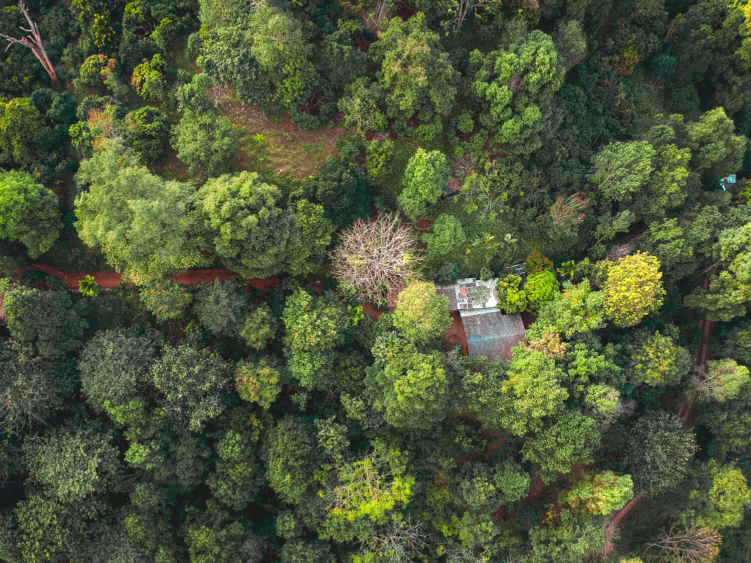 蘇拉拉胡有機咖啡農場和高山村落體驗 (SuanLahu organic coffee farm and highland village experience)