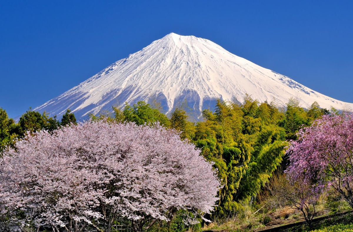富士山經典一日遊｜富士山五合目+忍野八海+御殿場奧特萊斯/溫泉（二選一）