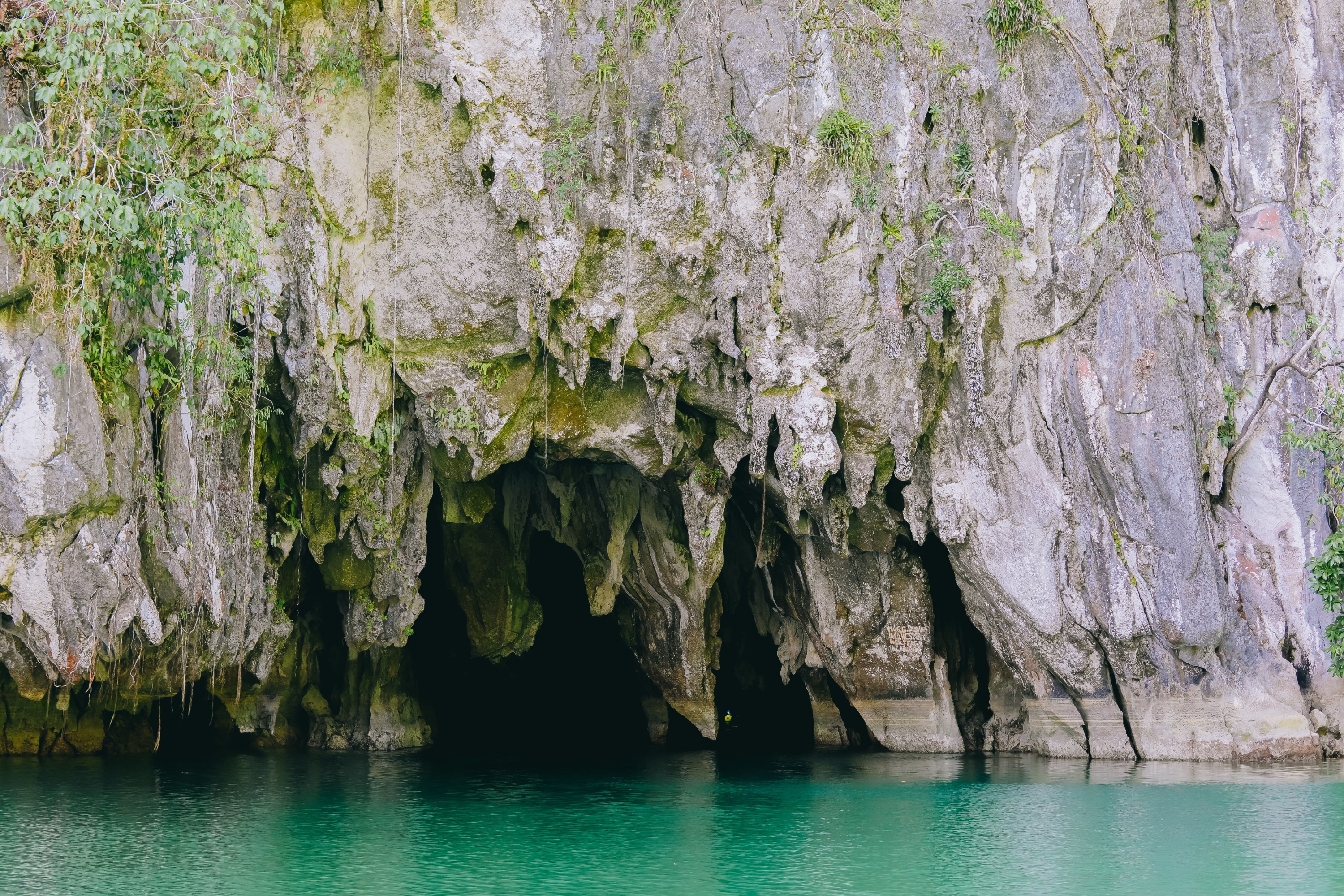 Private Underground River with Mangrove Paddle Tour