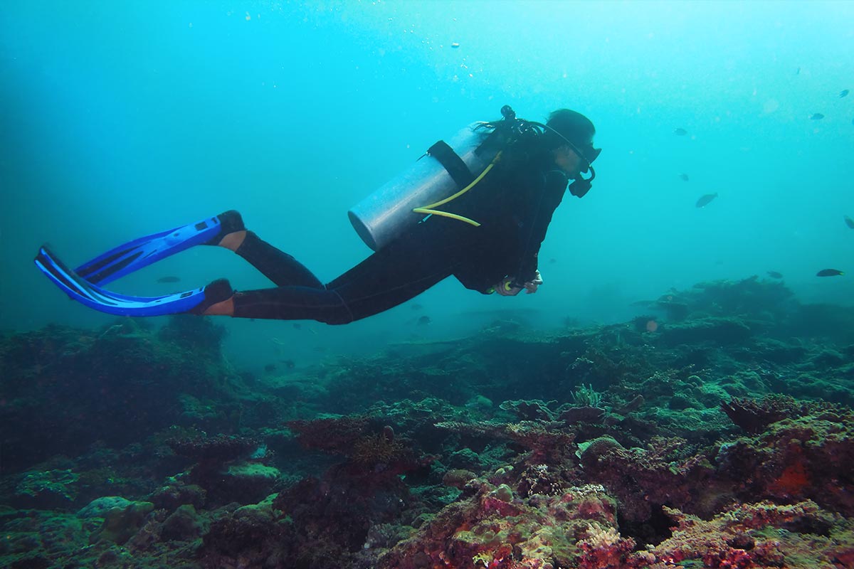 亞庇高級潛水體驗（PADI潛水中心）