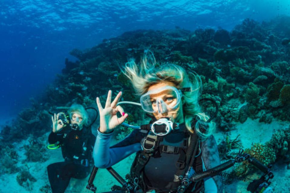 沙姆沙伊赫：拉斯穆罕默德潛水遊船之旅（含私人接送）