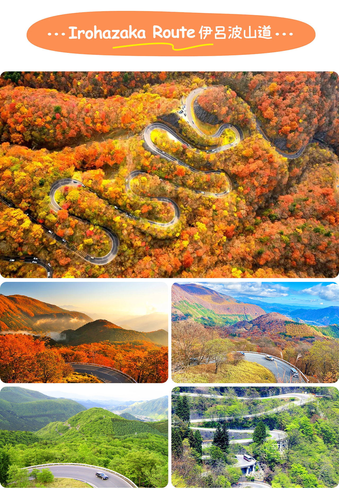 伊呂波山道以48道彎聞名，秋季紅葉層層鋪展，宛如一條蜿蜒在山林間的彩色長龍。