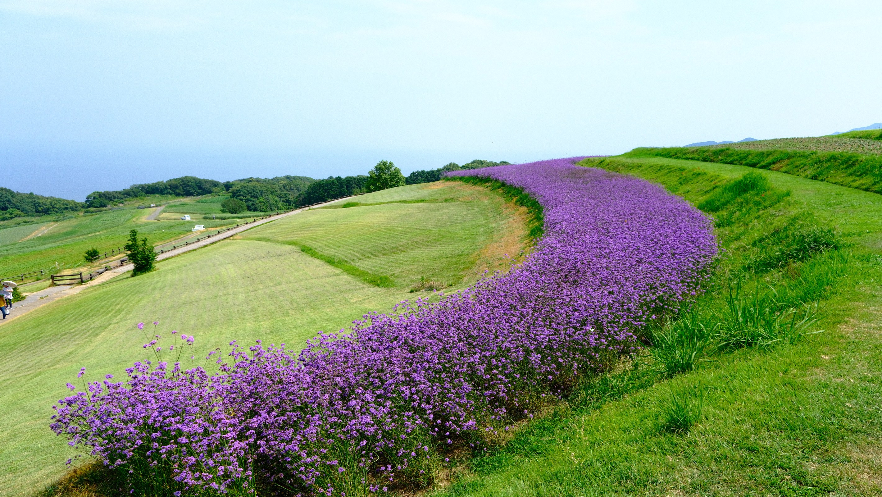 "One-day tour of Kansai's hidden secrets" Choose one of Awaji Island, Koyasan, or Kumano Kodo, depart from Shinsaibashi, Osaka