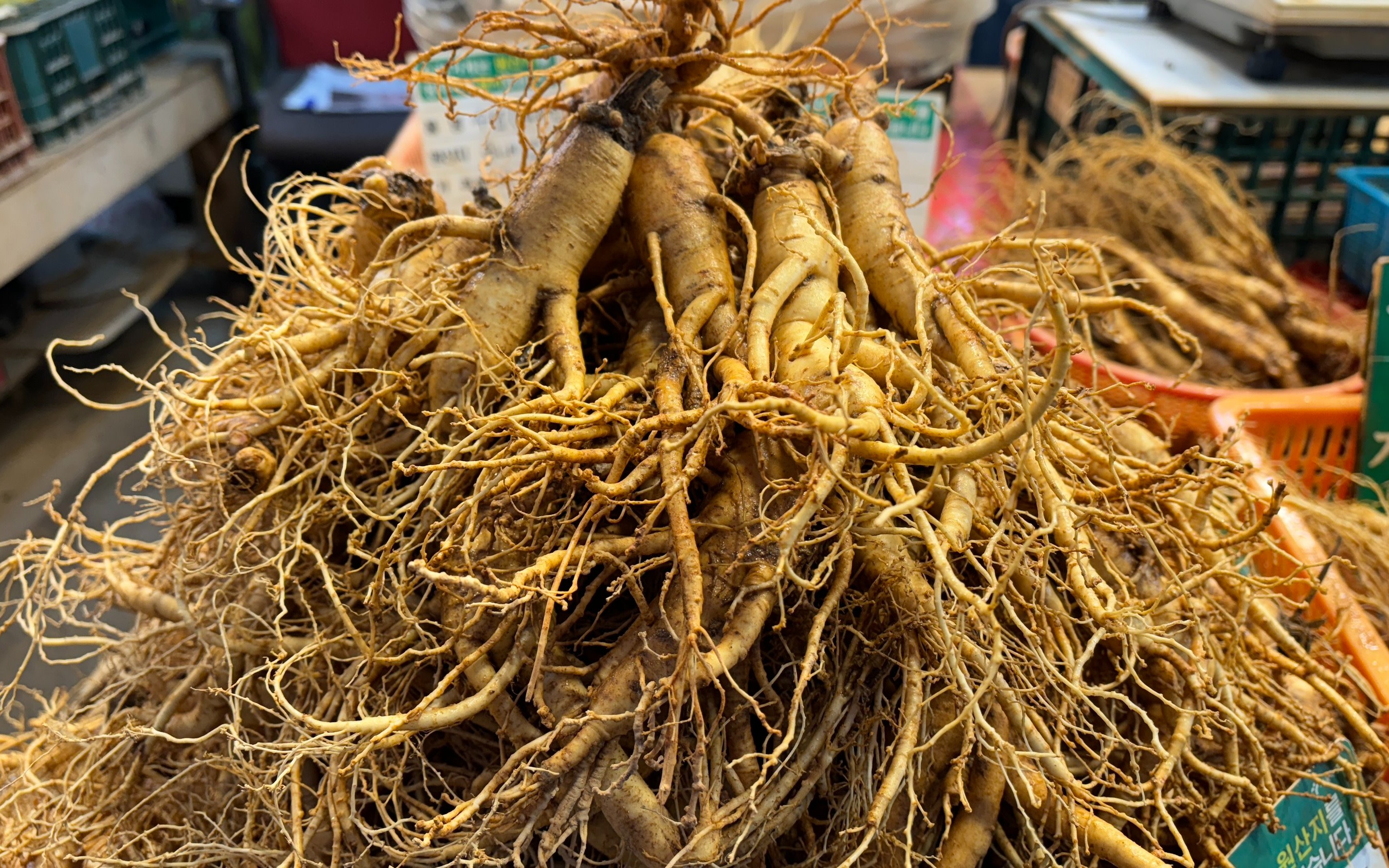 Seoul Cheongnyangni Market Half-Day Private Food Tour