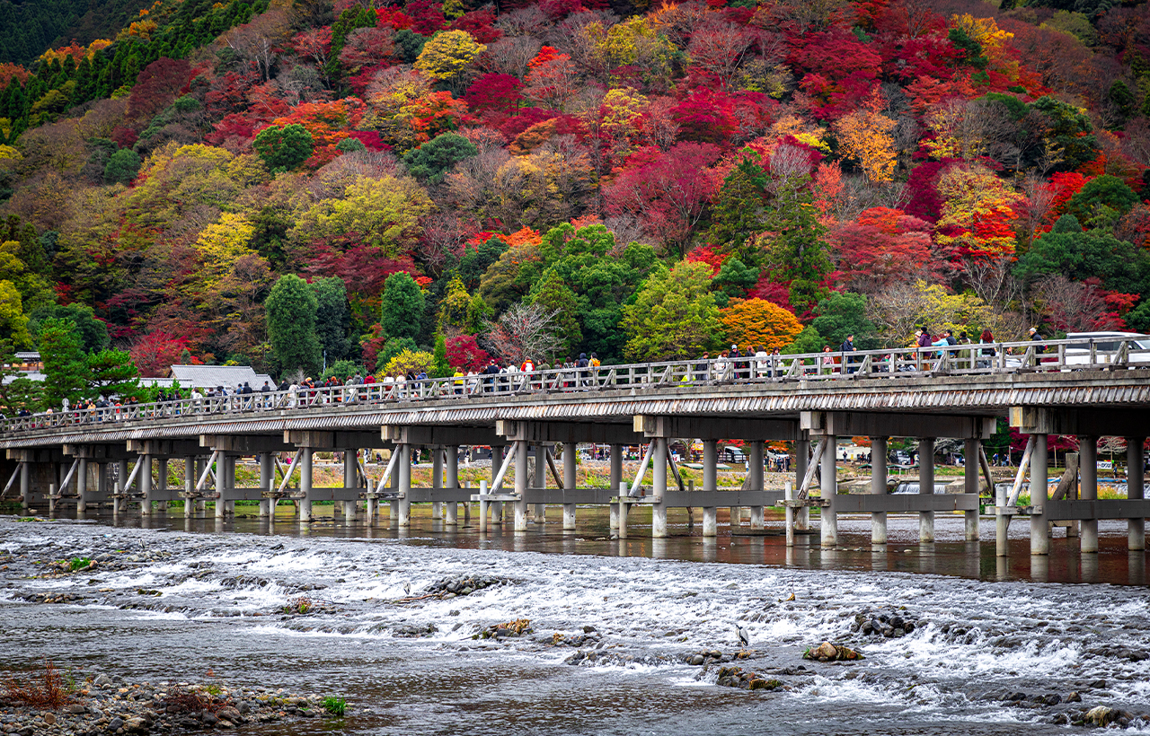 The Togetsukyo Bridge, with its elegant curve connecting the two banks, has become a popular spot for tourists and photography enthusiasts.