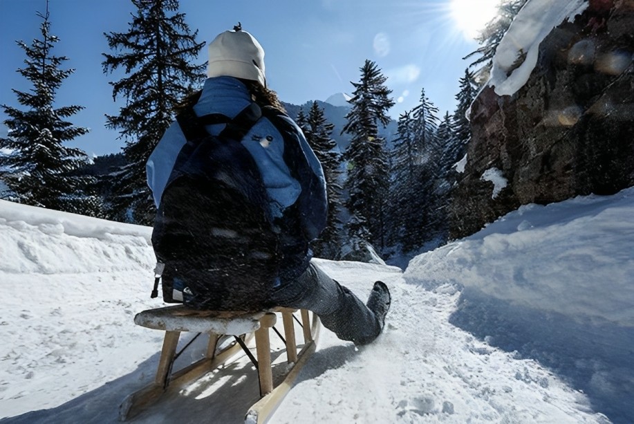 Day Sledding Experience from Interlaken