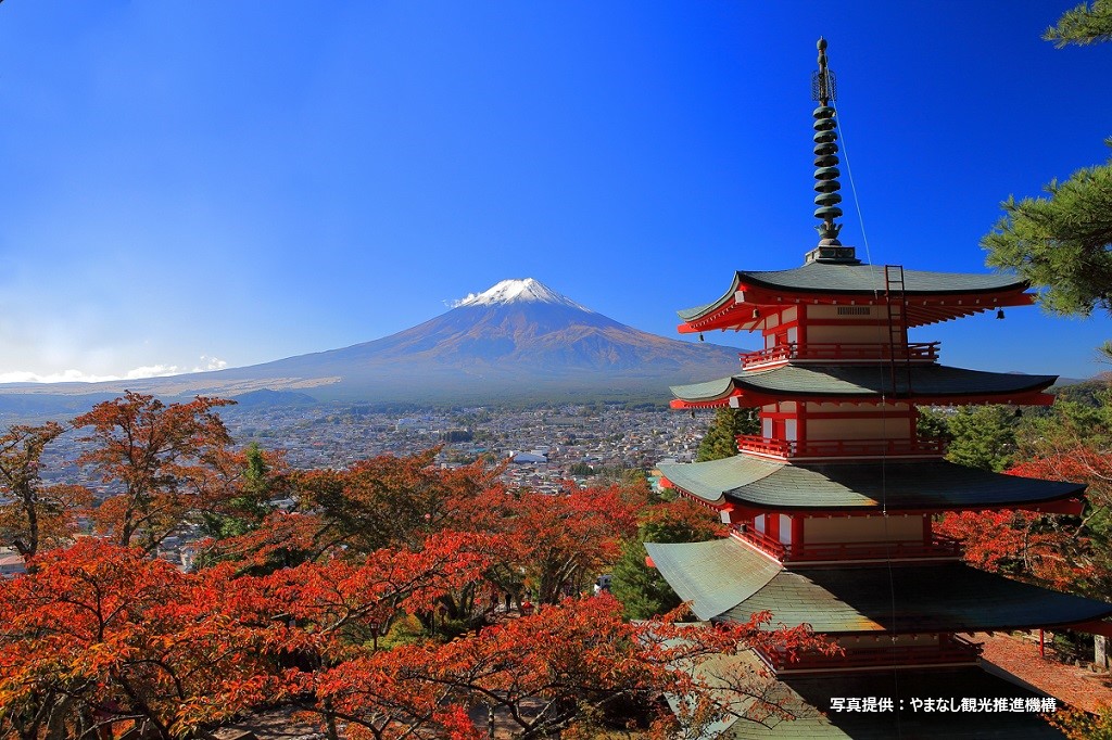 富士山 & 大石公園 & 新倉山淺間公園一日遊（含午餐）