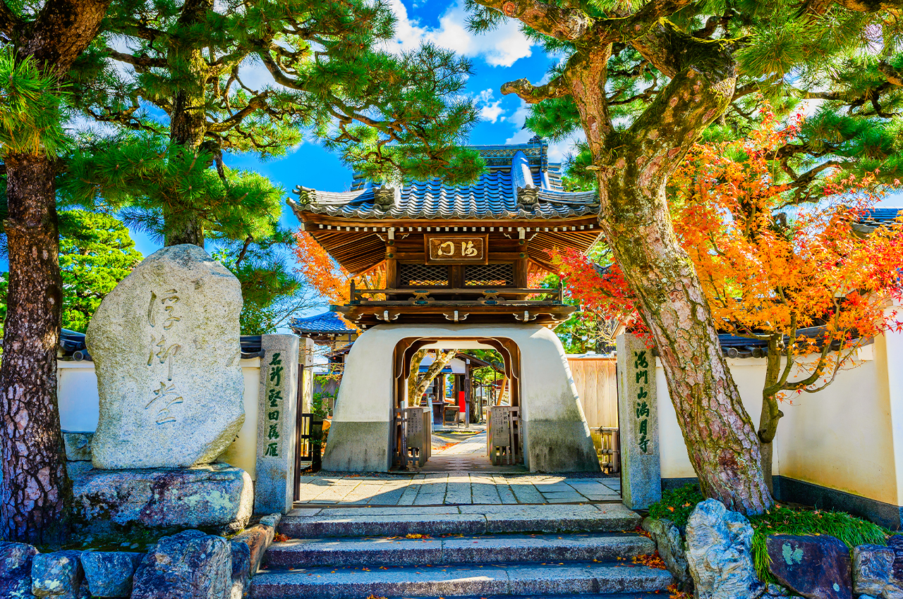 滋賀｜琵琶湖白鬚神社·展望臺/京都嵐山三千院·滿月寺浮御堂·近江八幡一日遊｜大阪/京都出發