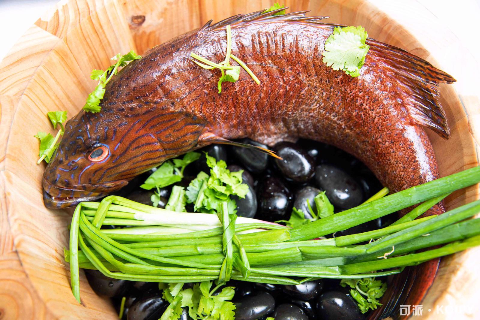 fish
