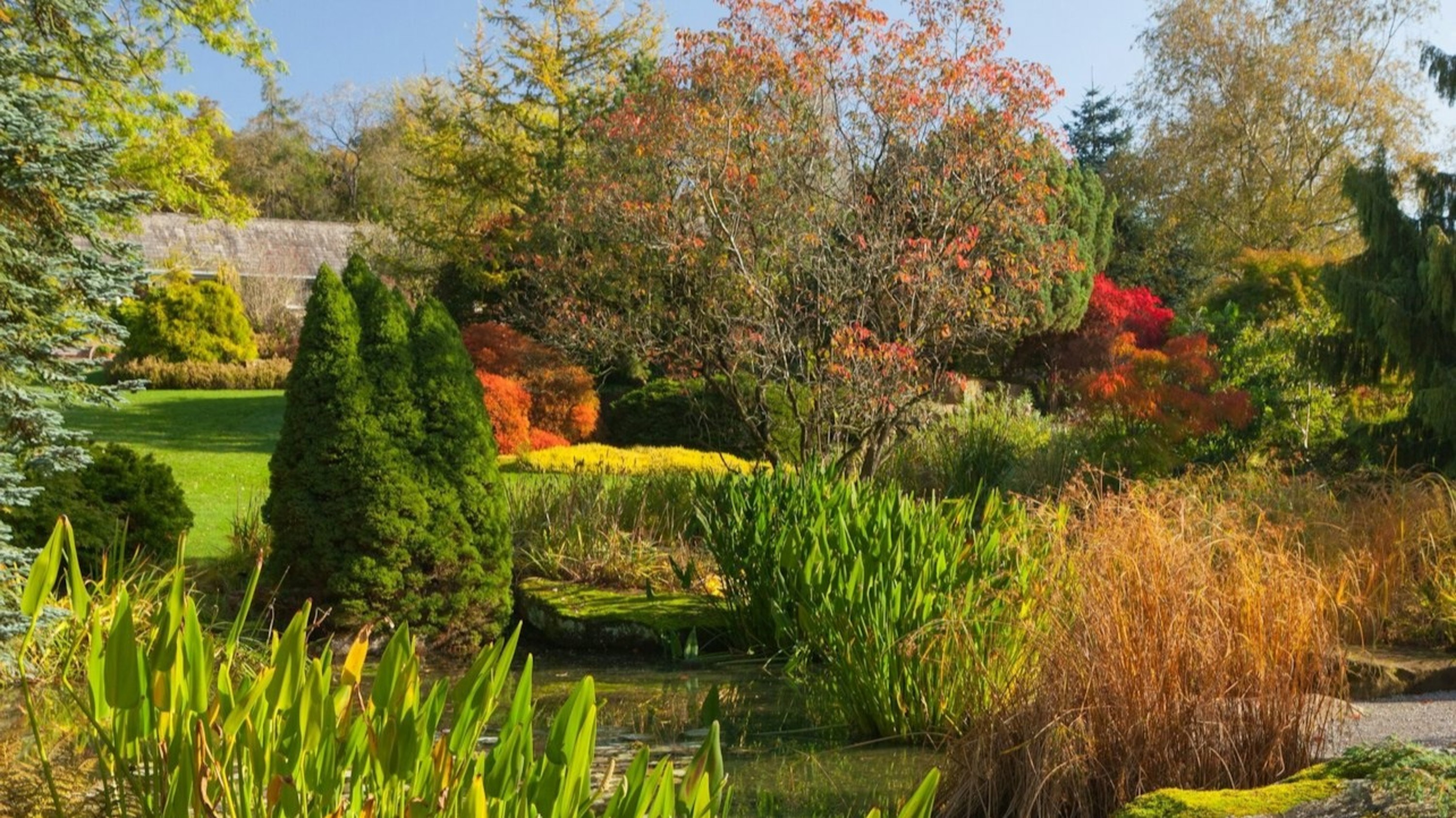 哈羅蓋特皇家園藝學會哈洛卡爾花園門票