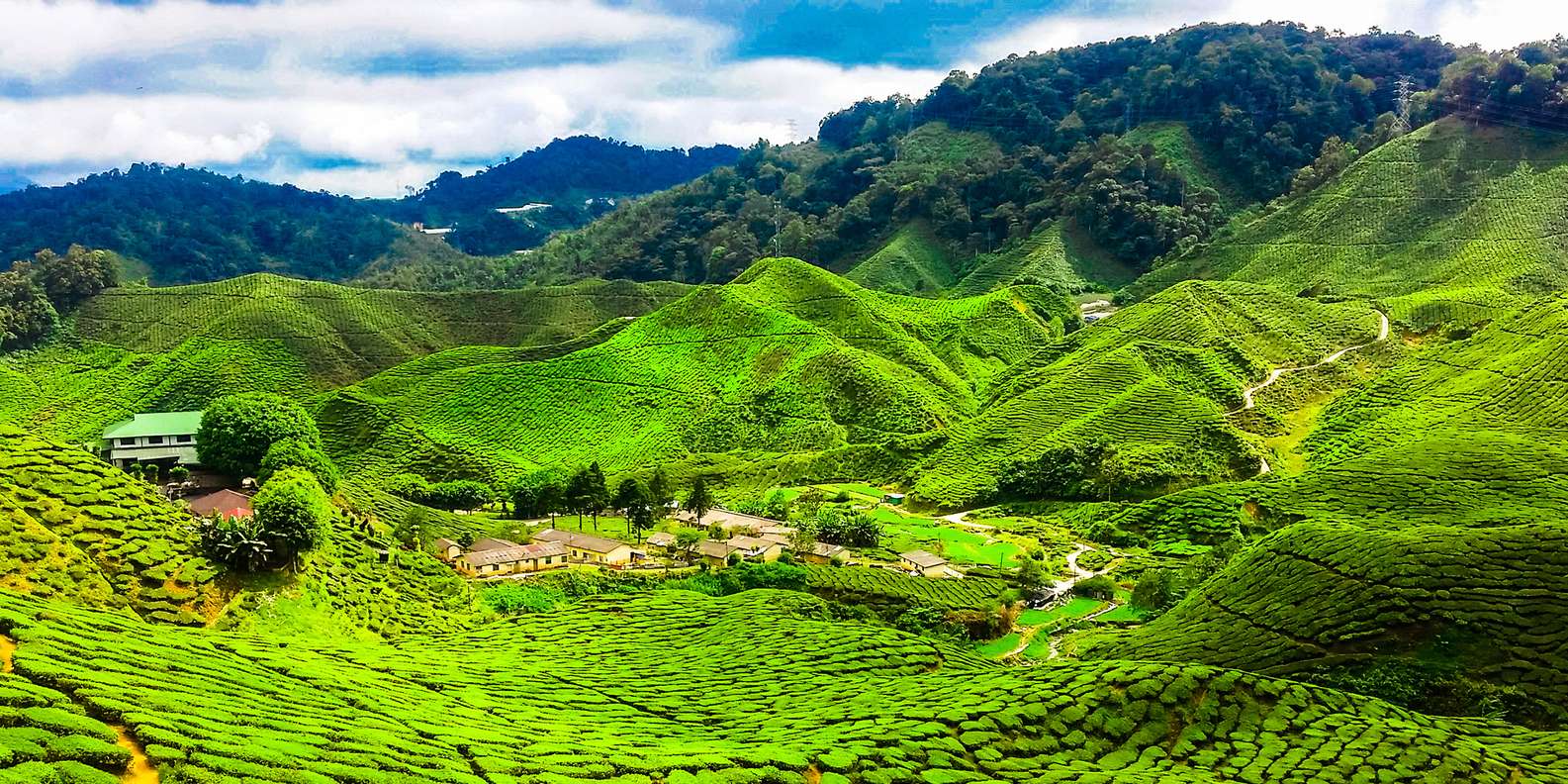 Однодневные туры и многодневные туры по Малайзии от WTS Travel