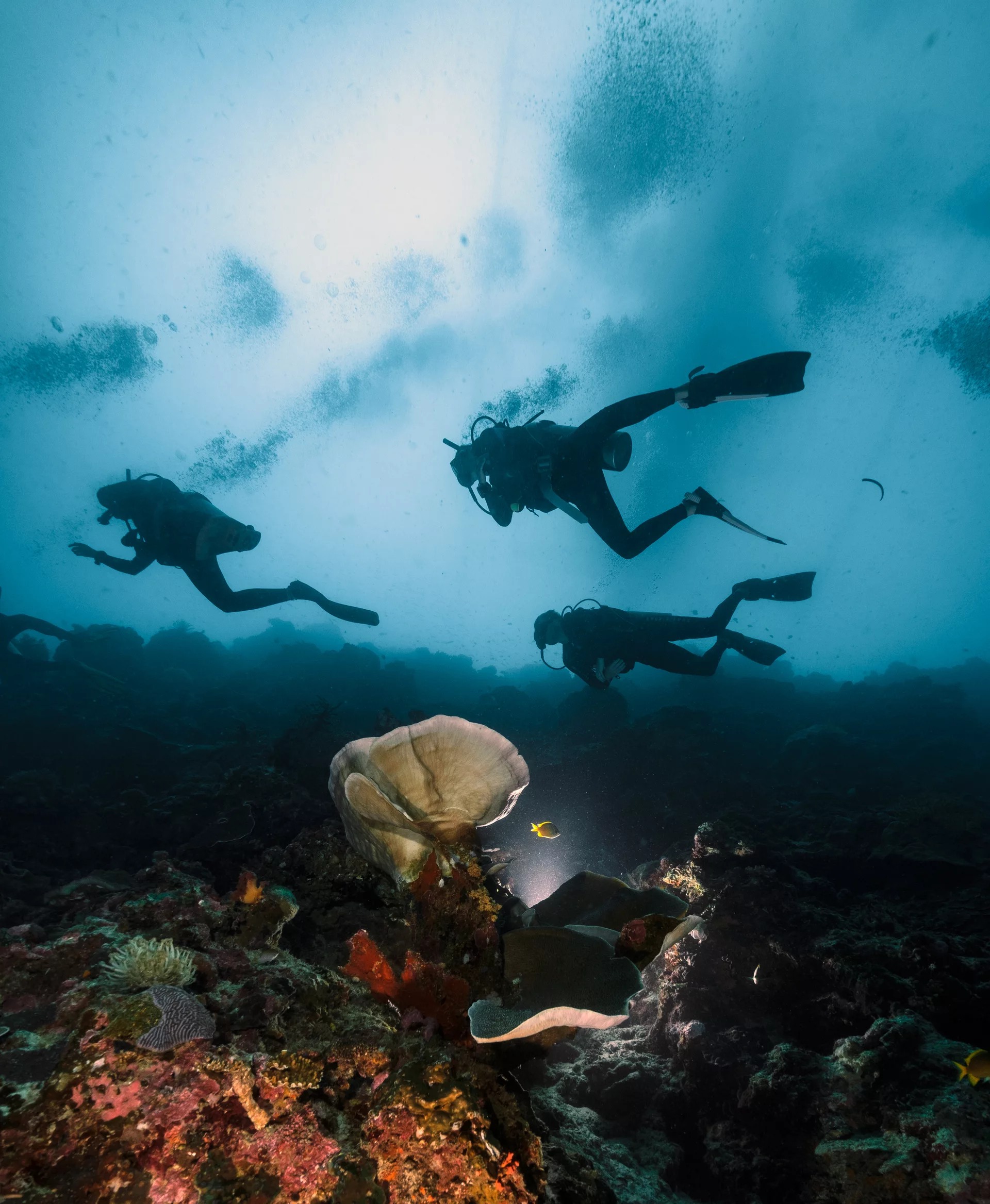 墨寶 PADI 五星潛水中心高氧空氣潛水員線上課程