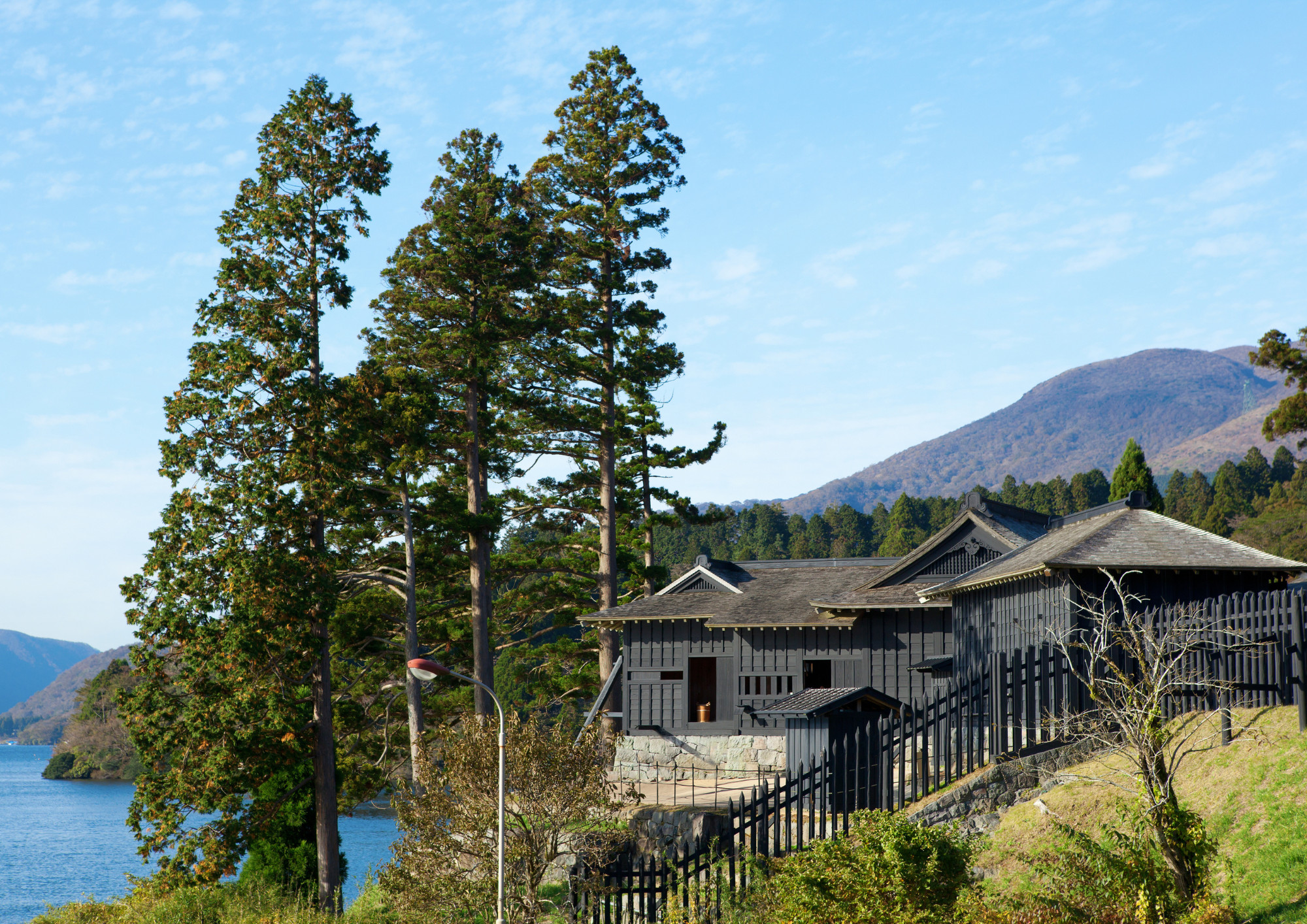 1-Day Hakone Lake Ashi Cruise & Historical Spots Tour