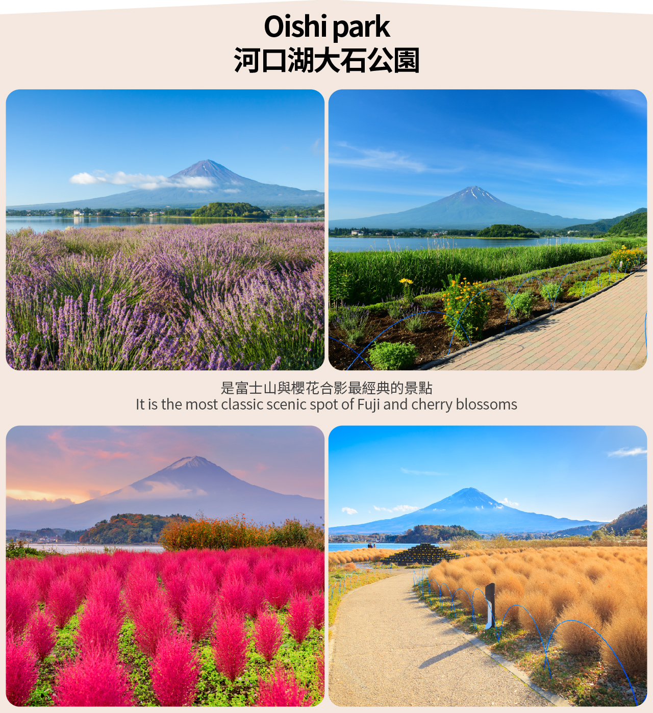 【富士三湖】河口湖&山中湖&精進湖&抱子富士&網紅天梯小鎮&忍野八海一日遊（東京出發）