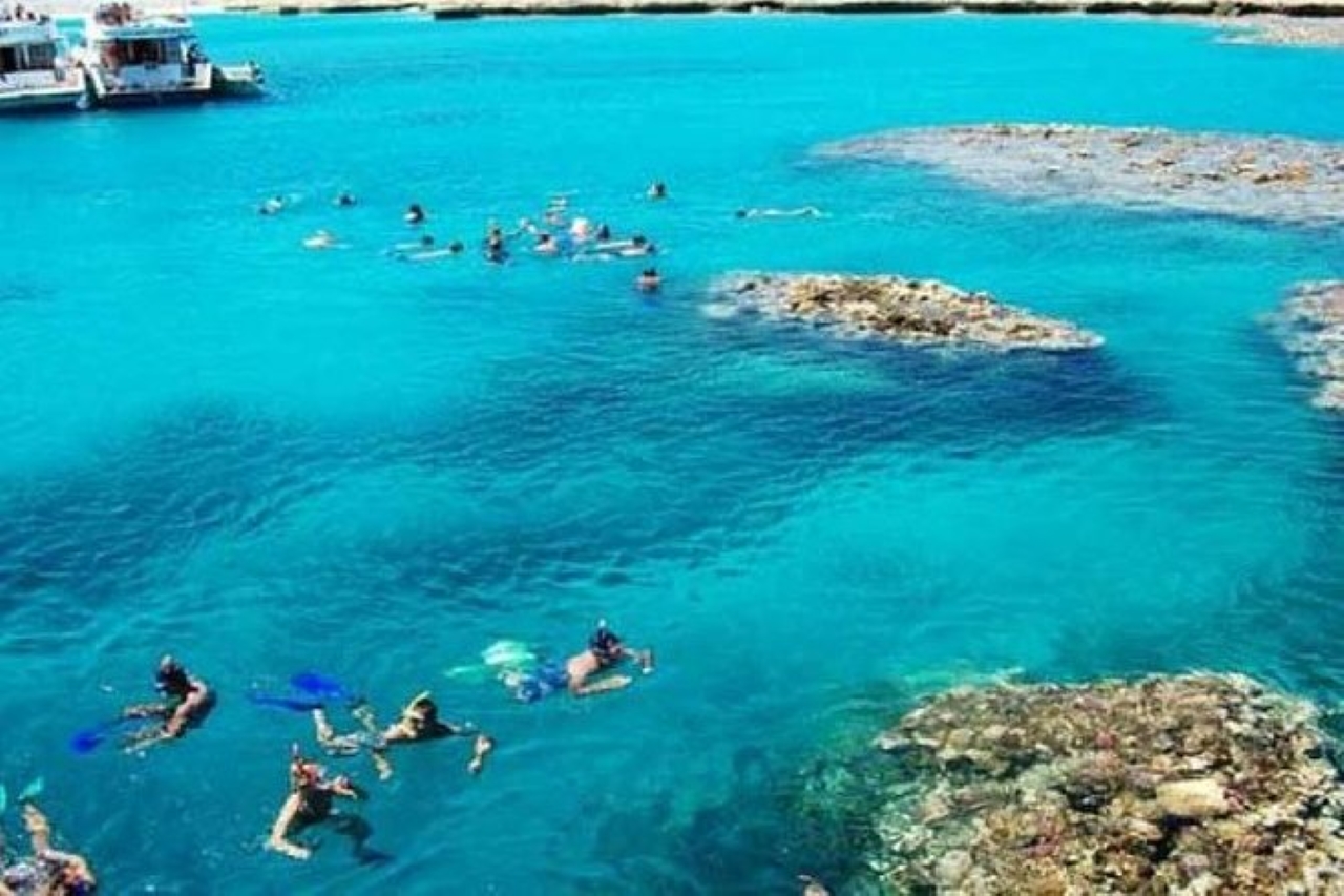 Tiran Island Full Day Snorkeling Sea trip, Lunch With Transfer - Sharm El Sheikh