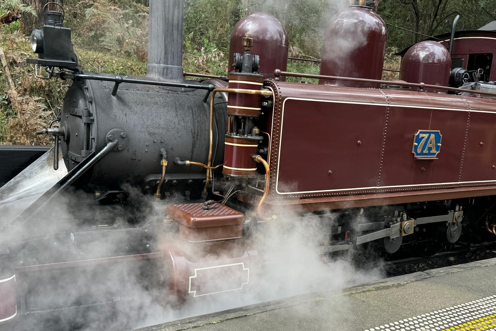 從墨爾本出發的普芬比利蒸汽火車 (Puffing Billy Steam Train) 之旅