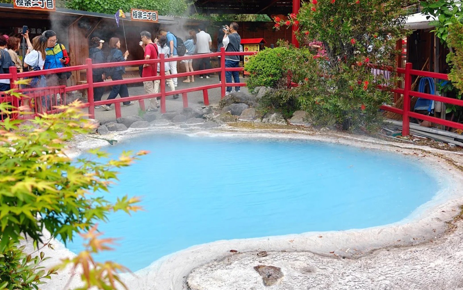 [Kyushu Oita Day Trip] Natural Zoo & Mt. Yufu & Yufuin & Beppu Sea Hell