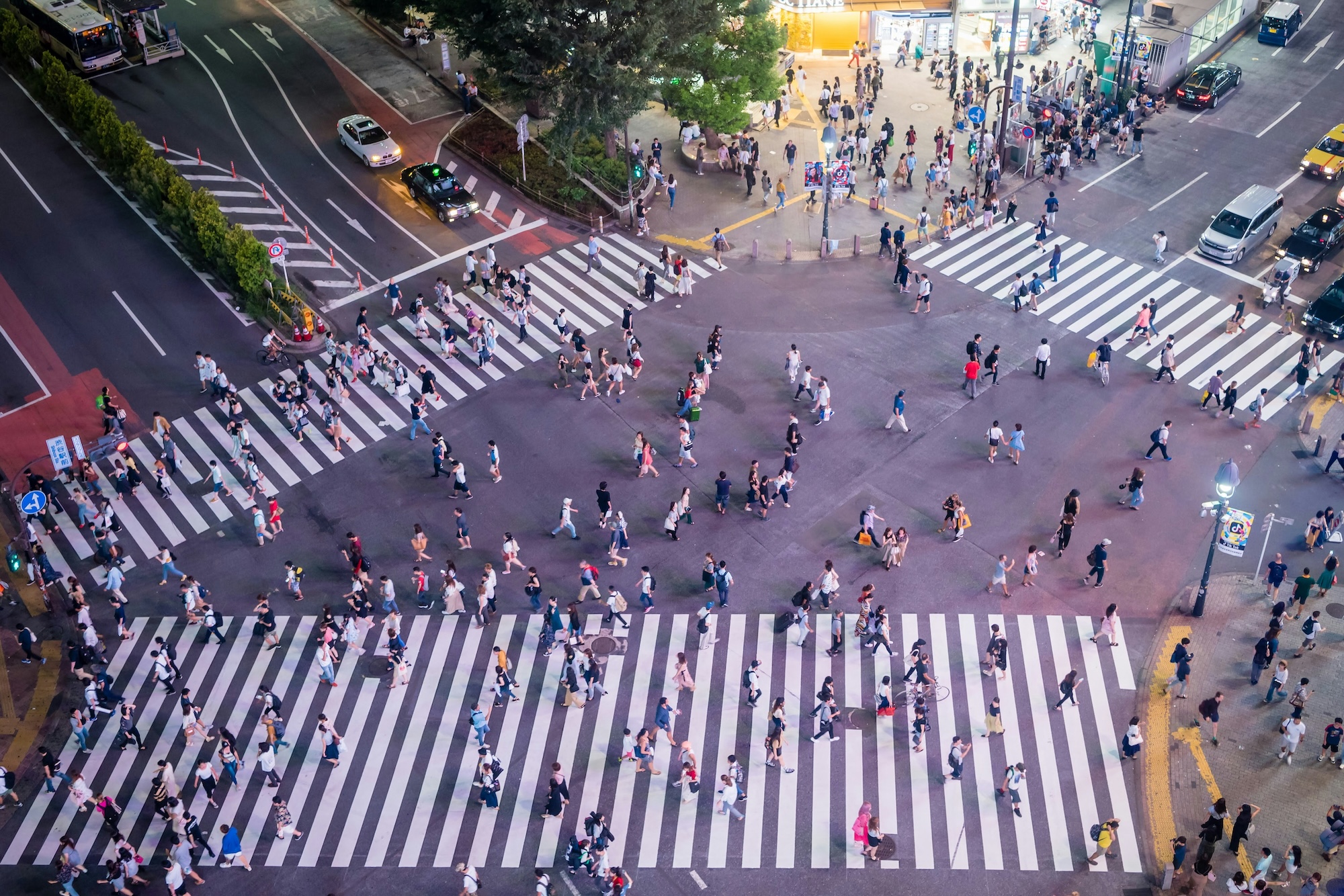 HYPERTOKYO：新宿和澀谷半日徒步之旅