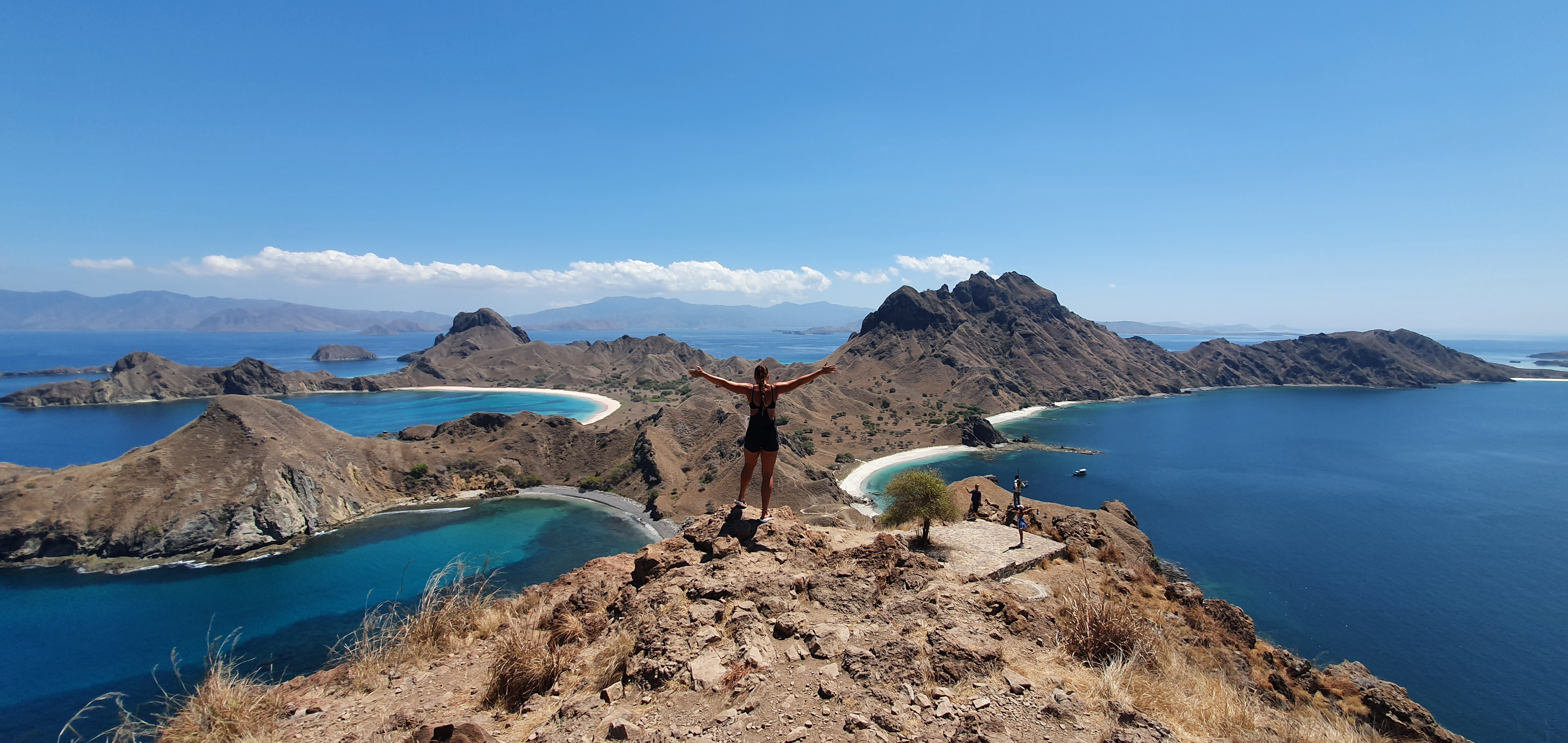 Red Whale Speedboat Full Day Tour from Labuan Bajo