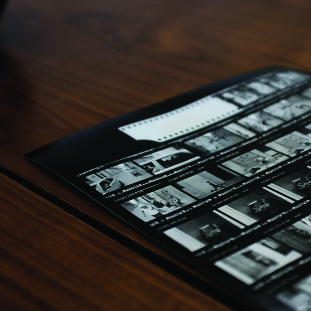 Black & White Contact Print