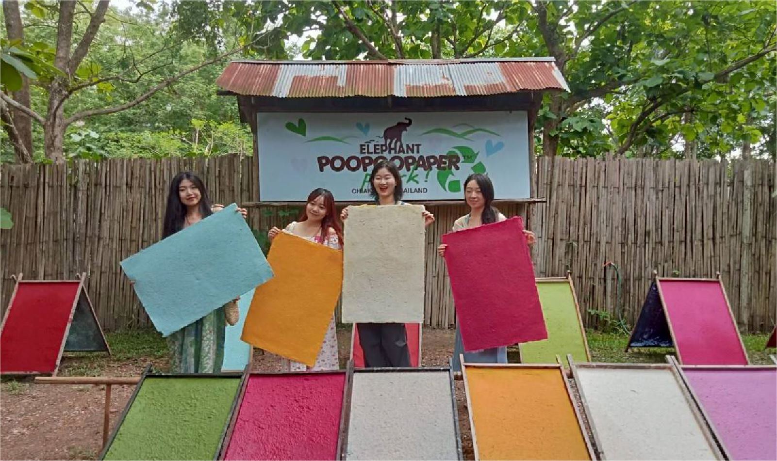 Elephant POOPOOPAPER Park Ticket in Chiang Mai