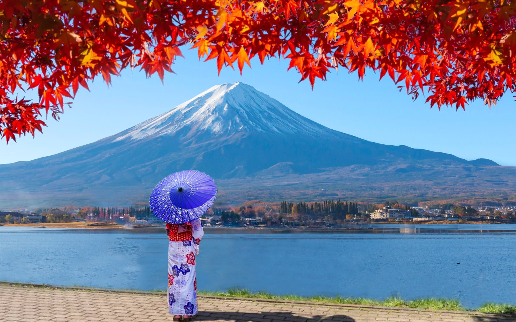 [Popular Mt. Fuji Instagram Spots] Mt. Fuji Famous Park & Hikawa Clock Shop & Lawson Convenience Store & Oshino Hakkai & Oishi Park Day Trip (Departing from Tokyo Station or Shinjuku Station)