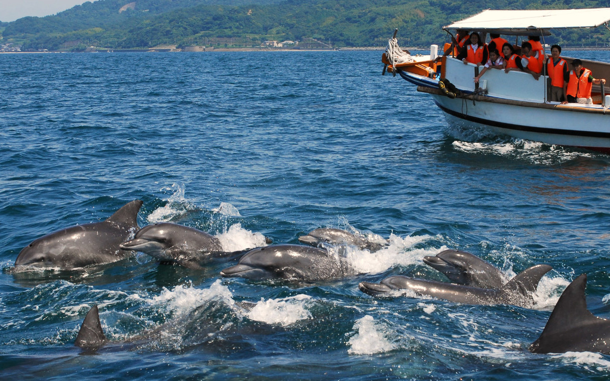 Amakusa Christian Pilgrimage World Heritage Tour from Fukuoka by Amakusa Airlines with Round Trip Bus Plan