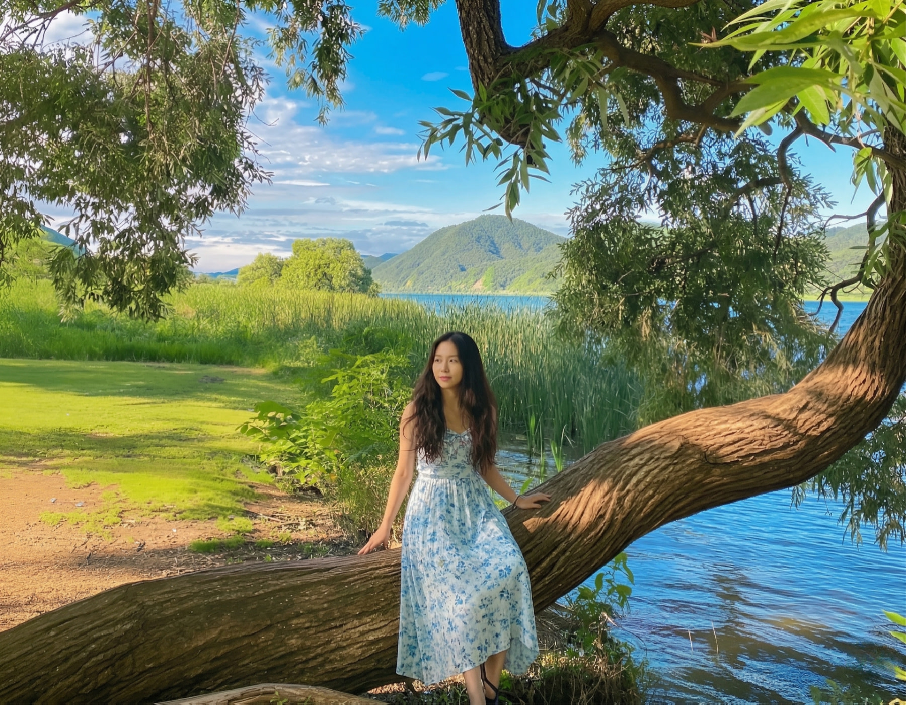 Gapyeong Alpaca & Sheep Ranch, Begonia Bird Park & Water Garden Tour