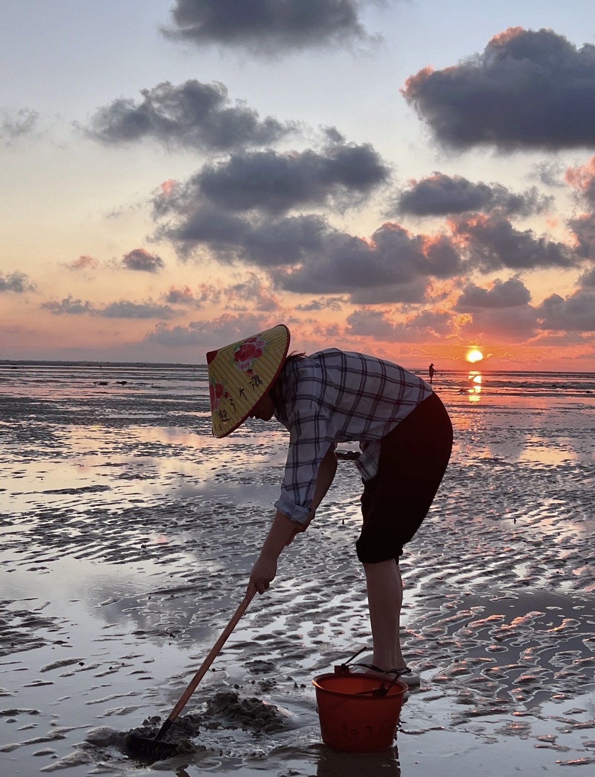 1) Mangrove mudflatting: After the tide goes out, follow the guide to the mudflats to find hidden, plump seafood. The freshly caught seafood is simply cooked by the store, which becomes the most direct reward from the sea. (Note: Processing fee is at your