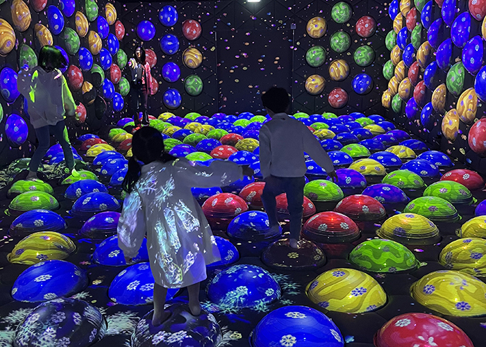 果川奇蹟公園門票