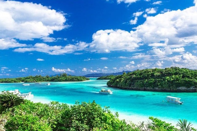 [Okinawa Ishigaki Island Day Tour] Lunch included, 3 boarding points to choose from
