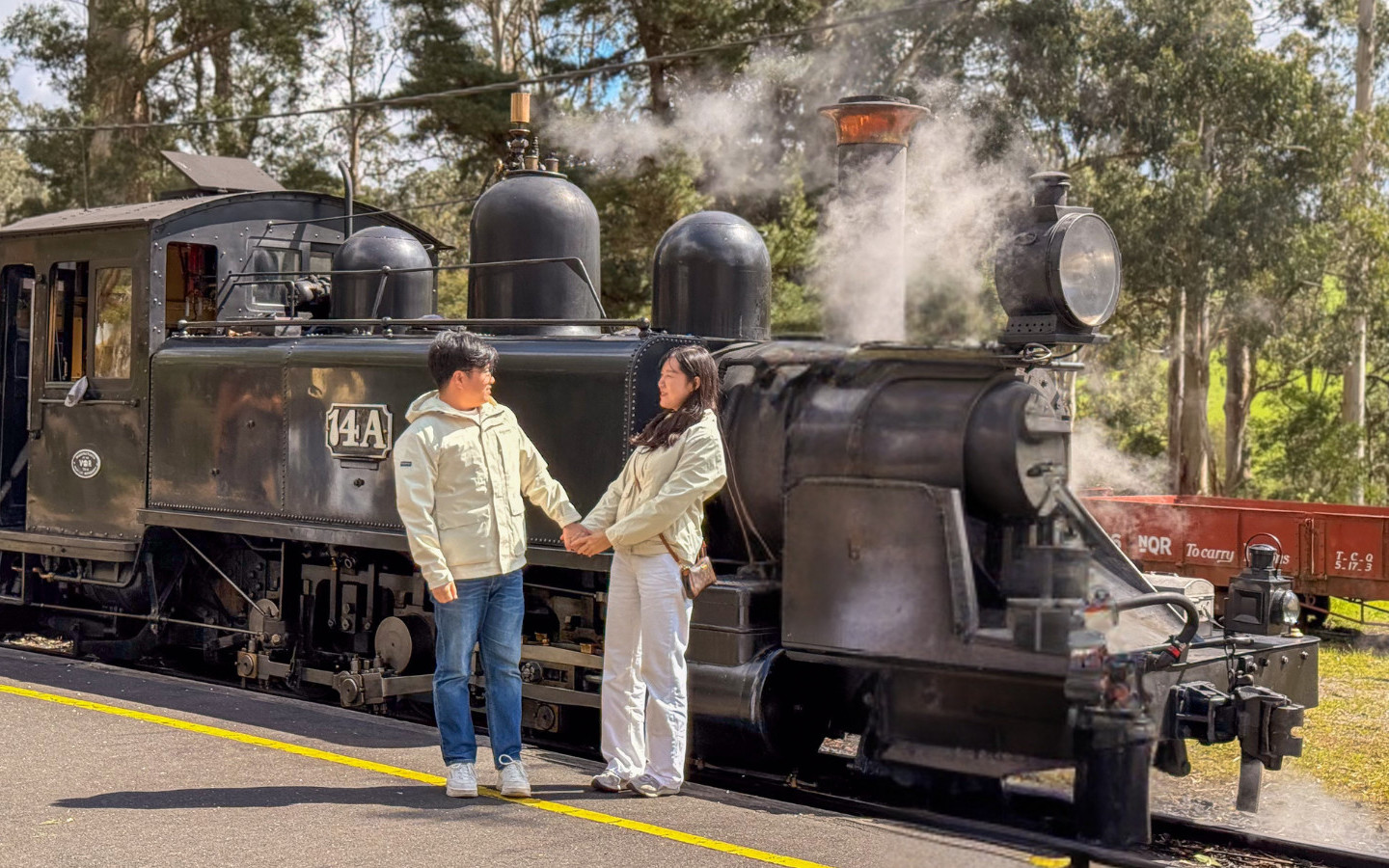 Puffing Billy, Forest Trails & Yarra Valley Discovery Tour