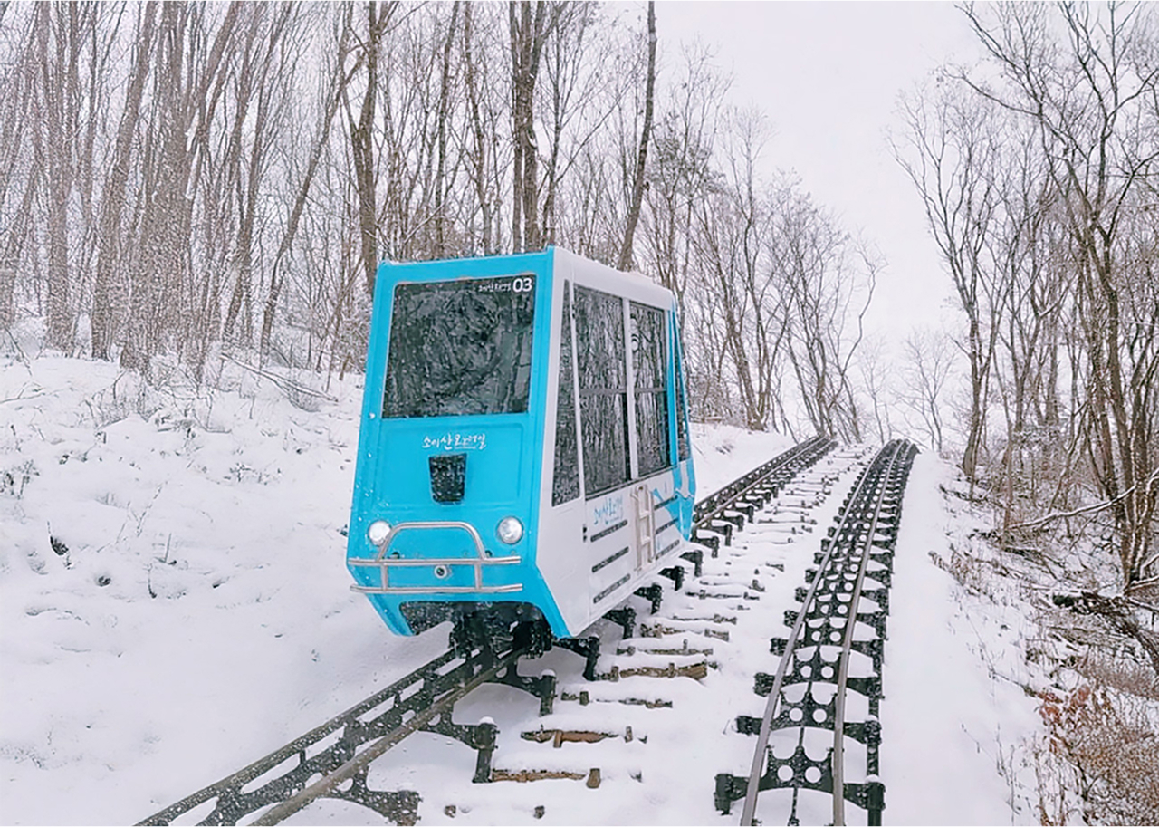 冬季搭乘宗山單軌列車，彷彿滑翔於白雪皚皚的森林之中。白雪覆蓋的樹木與寧靜的山坡，共同營造出平和且如童話般的景色。
