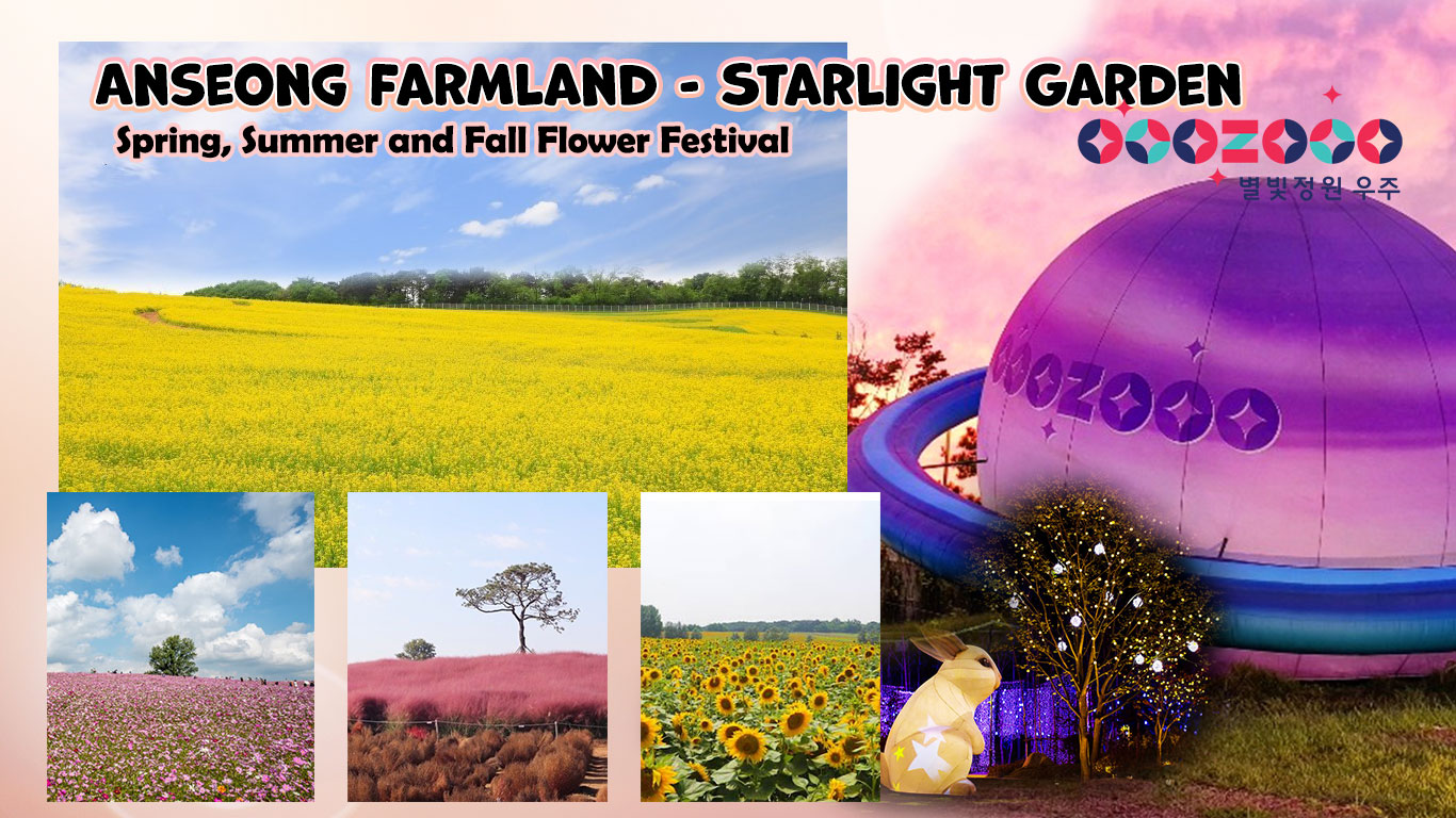 Anseong Farmland  & Starlight Garden Universe One Day Tour