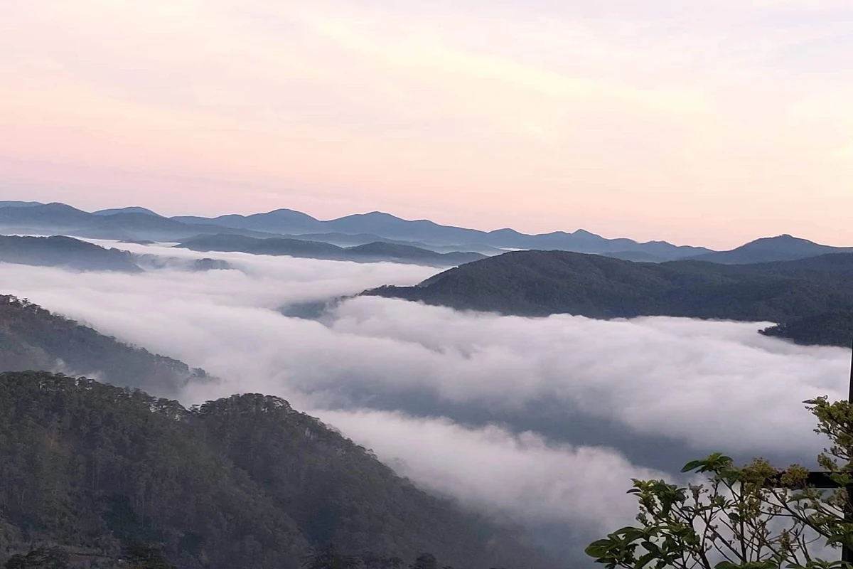 Cloud Hunting and The Glow of Dawn Tour in Da Lat