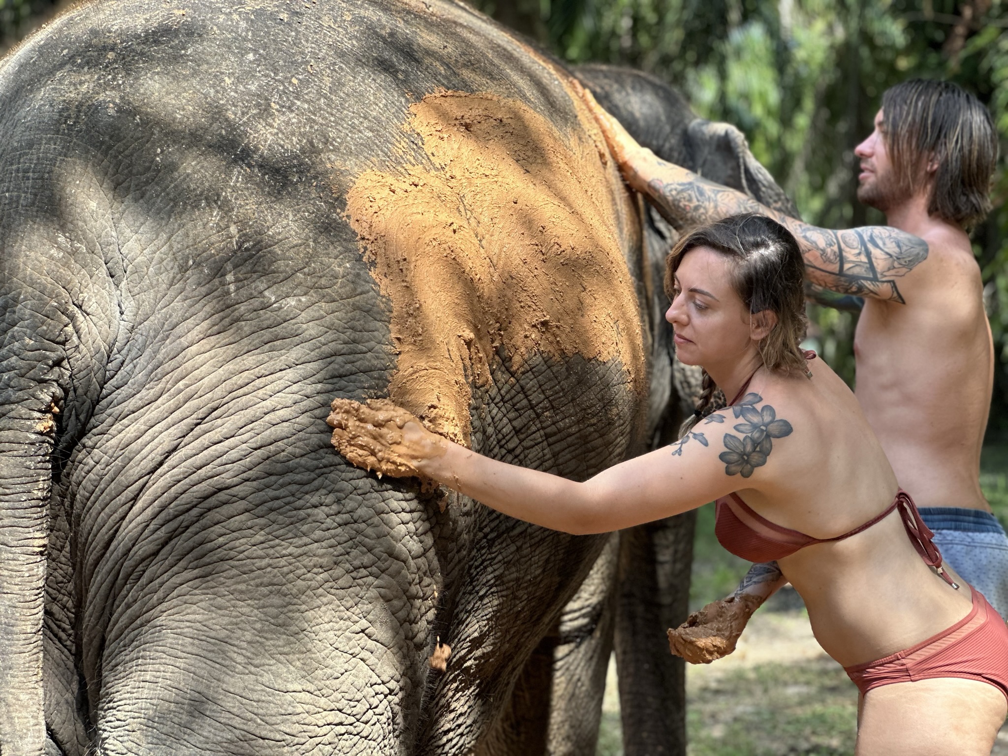 甲米大象保護區（Krabi Elephant Shelter）體驗