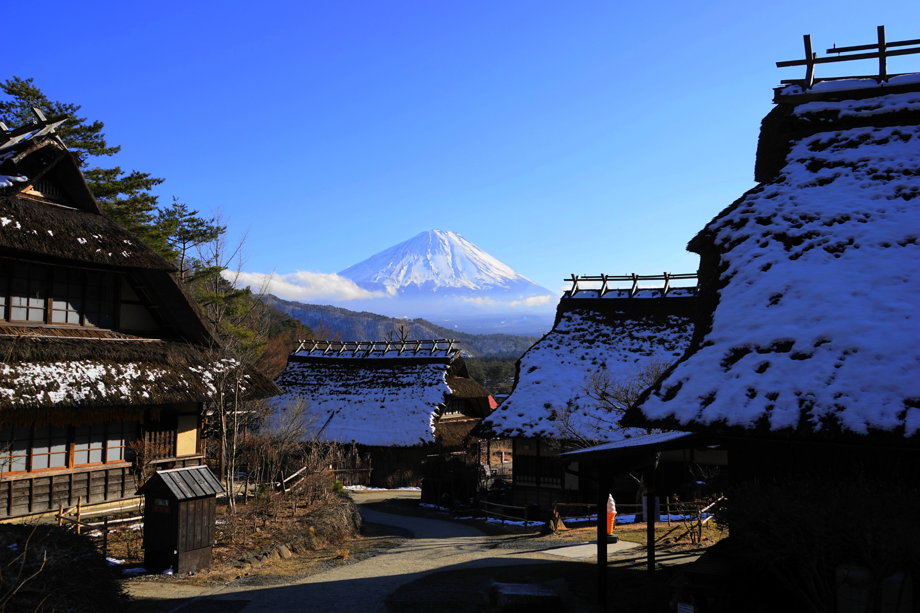 富士山新倉山淺間公園＆傳統日本村莊之旅