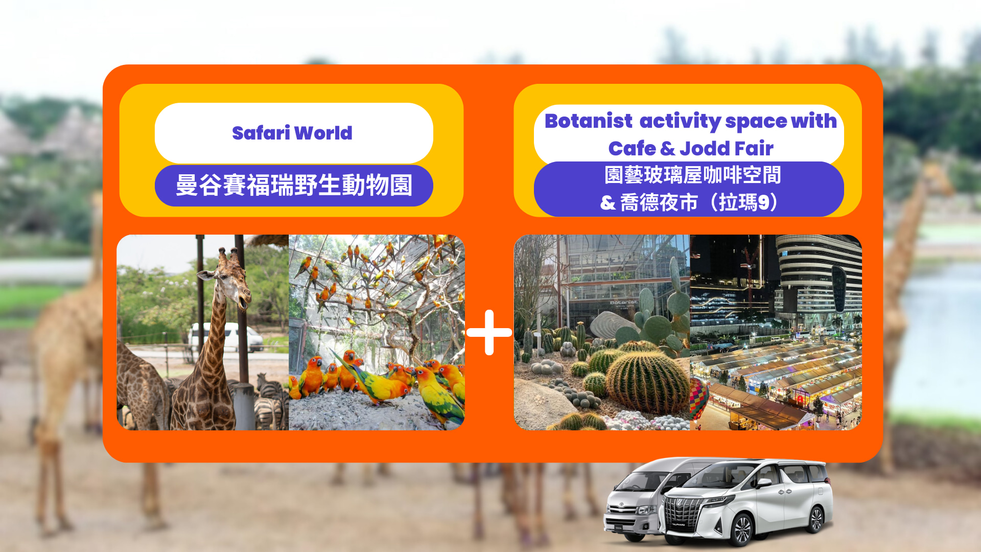 Однодневный тур по Бангкоку: Safari World, Botanist Activity Space Cafe и Jodd Fairs (Рама 9)