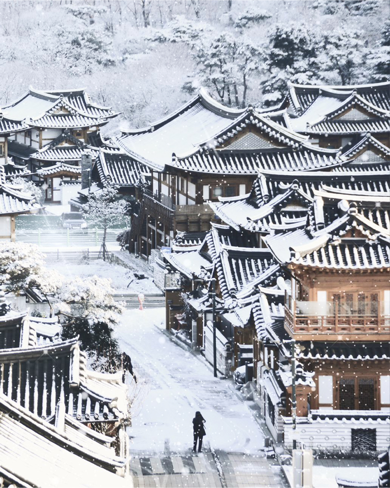 在冬季，您可以在白雪皚皚、充滿傳統氛圍的恩平韓屋村享受一個特別的時刻。