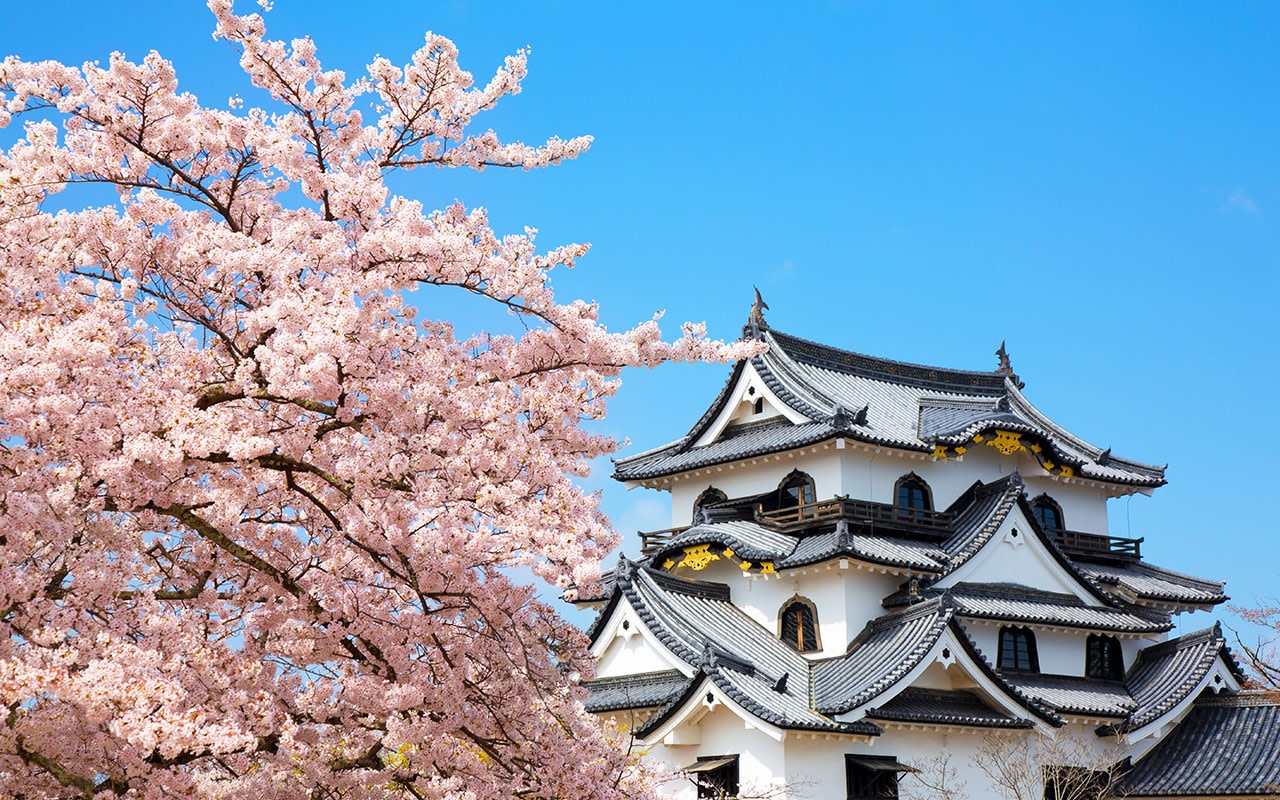 Lake Biwa in Four Seasons & La Collina Omihachiman & Nara Day Trip