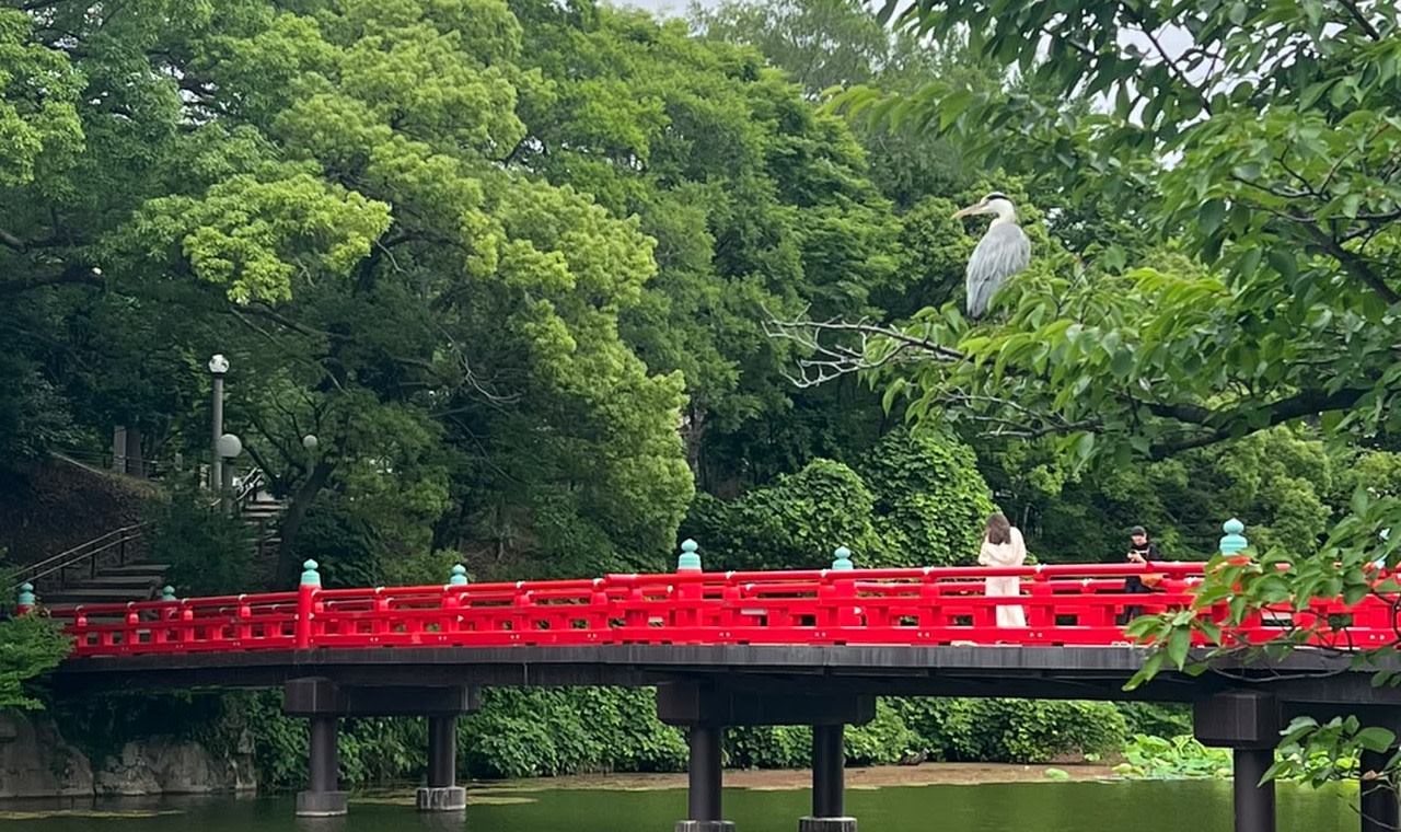 Osaka qadimiy ibodatxonalari va Shinsekai kichik guruhli sayohati